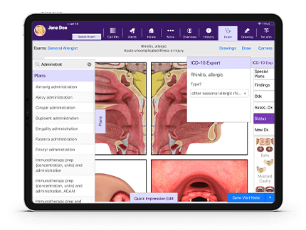 Anatmolical images of nose and throat in allergy-specfic software