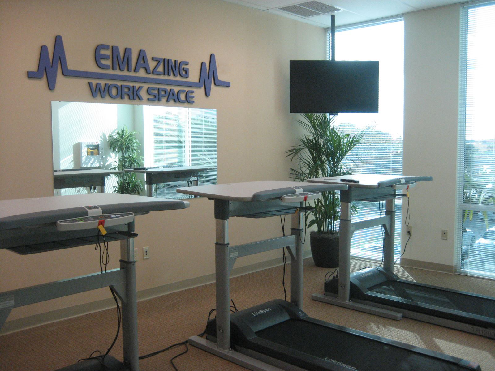 Treadmill_Workstation2