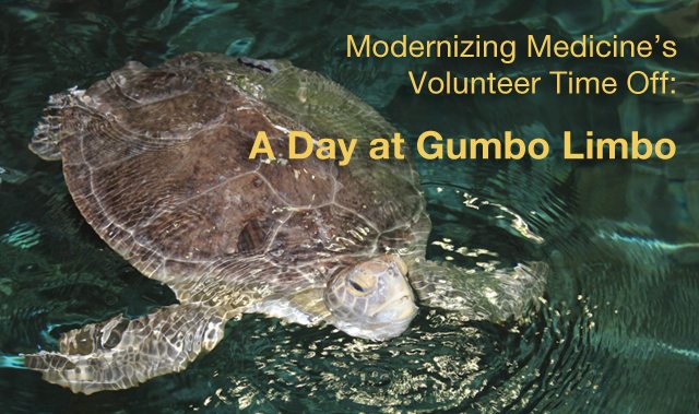 Volunteer_GumboLimbo