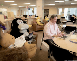 modernizing-medicine-ceo