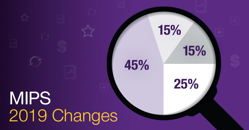 2019 MIPS breakdown pie chart