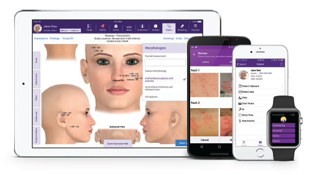 derm ema eco system