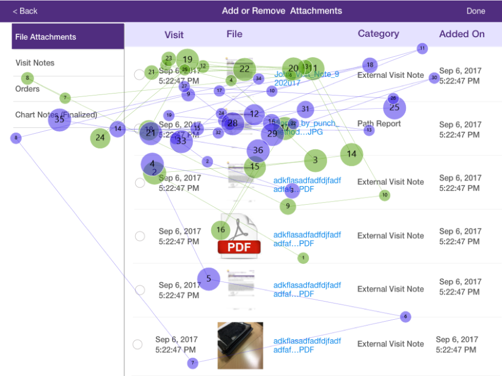 screen shots from eye tracking in an EHR system