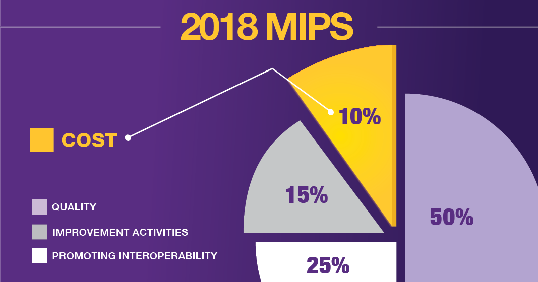 2018 MIPS Cost Category