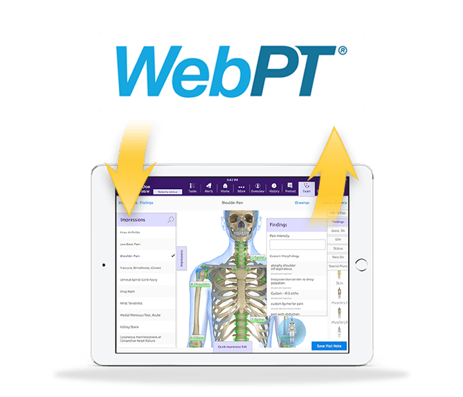 webpt logo and ModMed ortho suite webpt logo and ModMed ortho suite