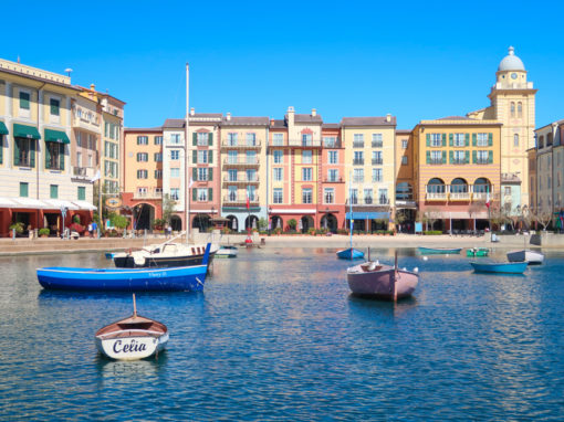 2019 FOS Annual Scientific Meeting