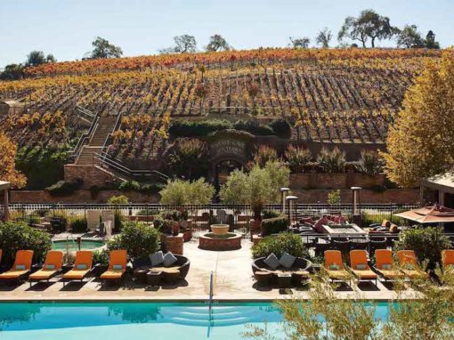 Napa Pain Conference