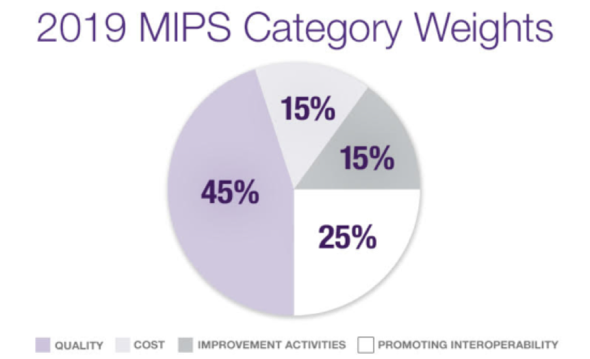 2019-mips-category-weights-pie-chart