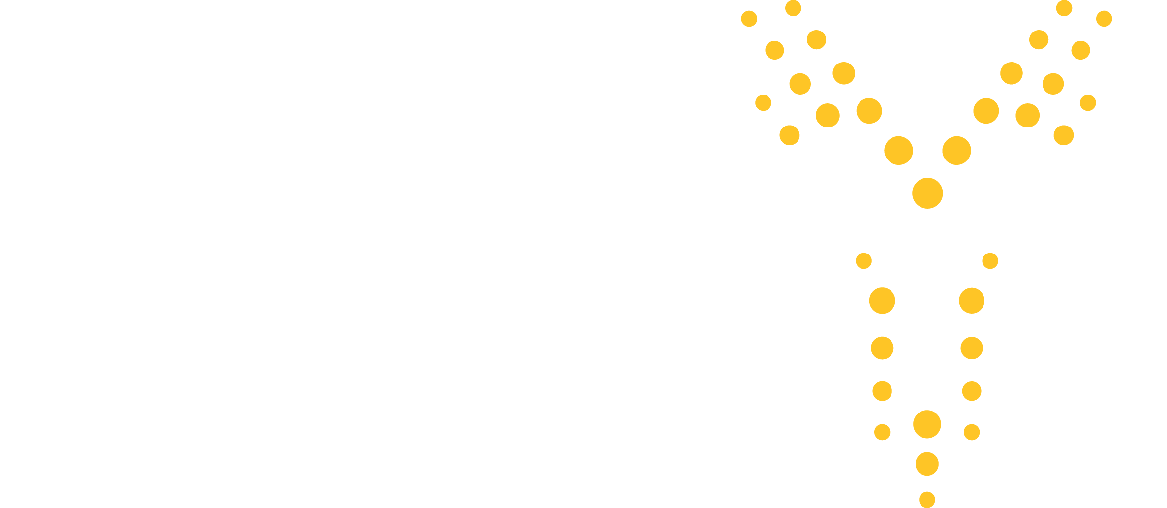 ModMed synapSYS