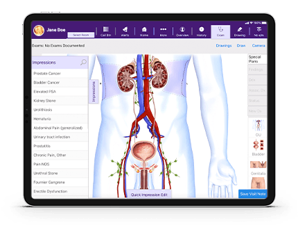Intelligent and Highly Customizable Urology EHR Screen Display