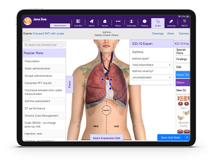 Image of allergy software showing lungs 