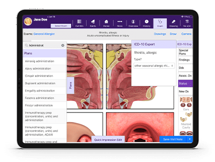 Anatmolical images of nose and throat in allergy-specfic software