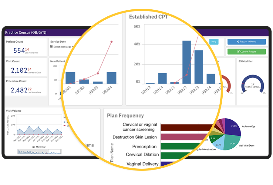 Our analytics solution shows details on most used plans, CPT and E/M codes. Our analytics solution shows details on most used plans, CPT and E/M codes.