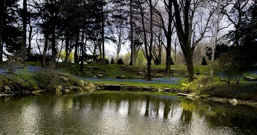 event-image-dearborn