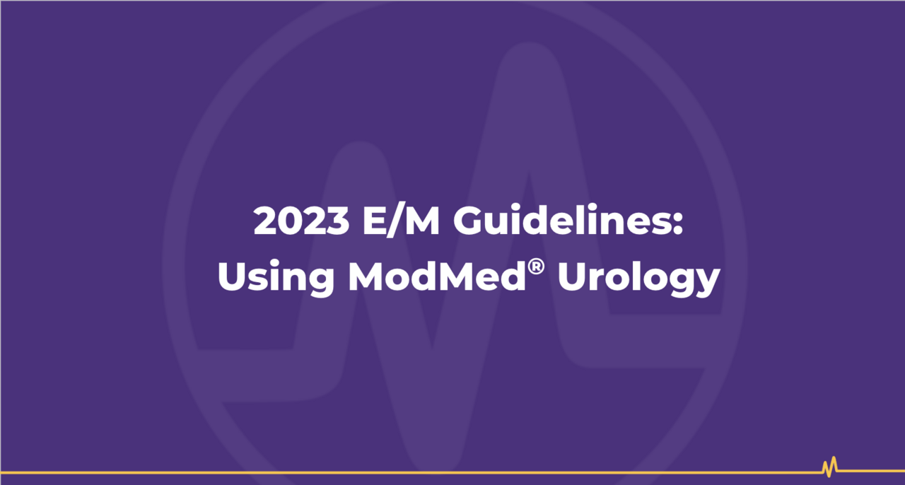 E/M Guidlines Webinar Screenshot