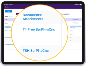 An image showcasing our labs interface. An image showcasing our labs interface.