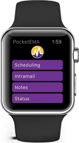 Image of electronic medical record app on smartwatch