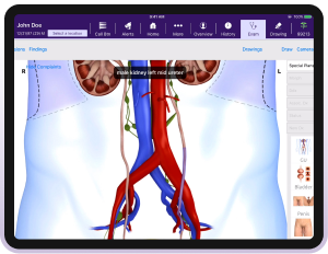 And image showing our Interactive Anatomical Atlas™ And image showing our Interactive Anatomical Atlas™