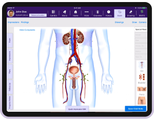 Intelligent and Highly Customizable Urology EHR Screen Display